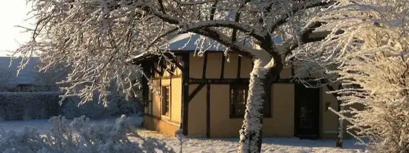 photo1
